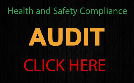 audit