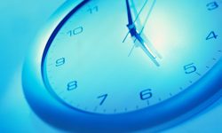 Etiam commodo convallis